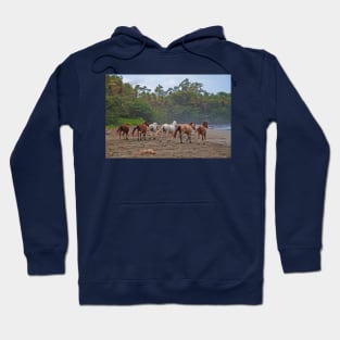 Costa Rica. Town of Cahuita. Horses on the Beach. Hoodie